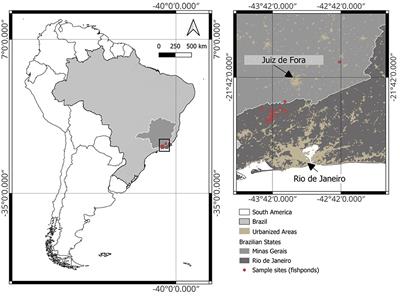 Widespread dominance of methane ebullition over diffusion in freshwater aquaculture ponds